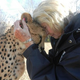 Illustration for article titled Record-Setting Cheetah Passes Away at Cincinnati Zoo
